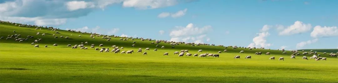 恬乐宝幼儿配方奶粉(图4) 恬乐宝幼儿配方奶粉(图4)